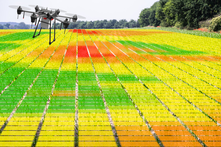 Precíziós gazdálkodás, avagy szenzoros növényfelmérés drónnal