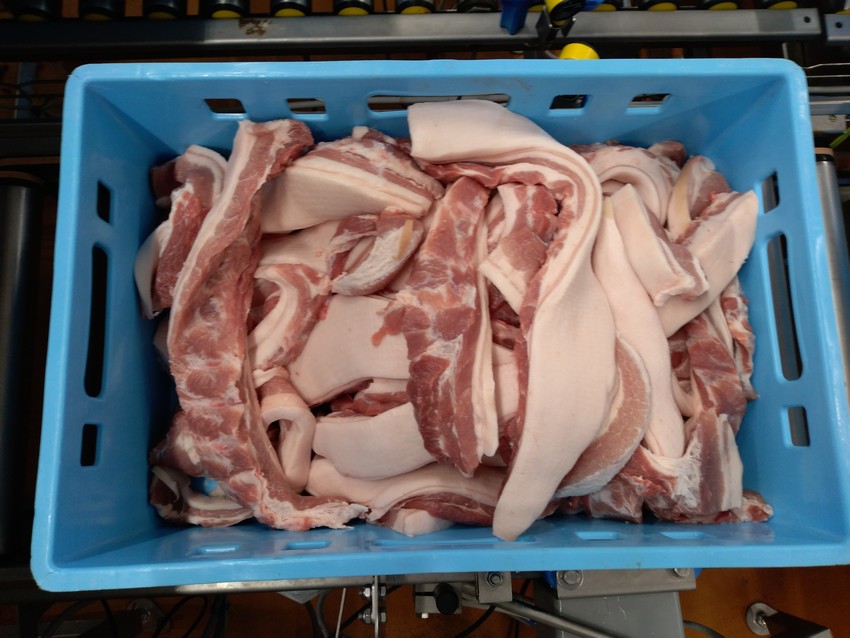 Gyártósori húsrész azonosítás - Császárszél