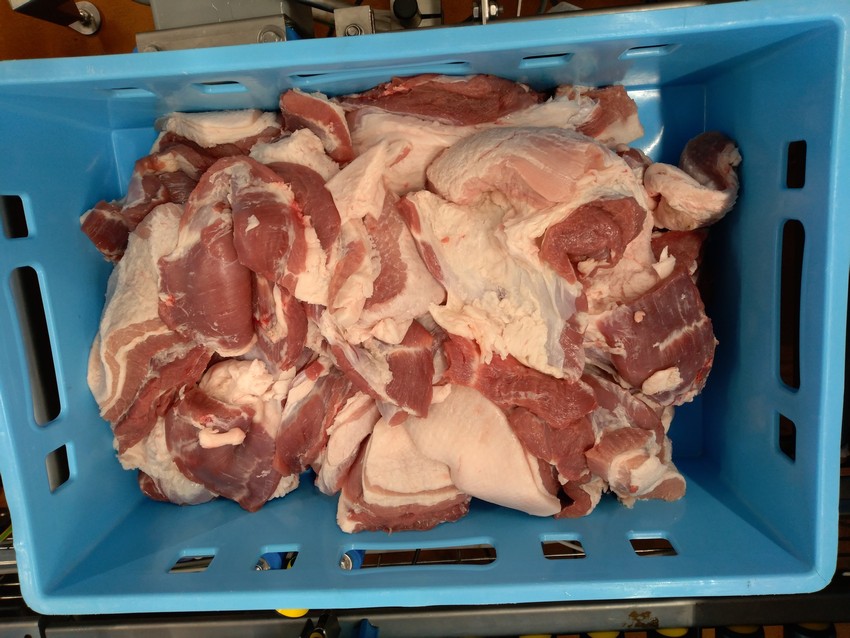 Gyártósori húsrész azonosítás - Dagadóvég